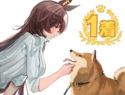 Rule 34 | 1girl, 1other, animal ears, blush, breasts, brown hair, collar, collared shirt, commentary request, dog, ear ornament, from side, hair between eyes, horse ears, horse girl, inaba (usanopo), jewelry, large breasts, leash, long hair, multicolored hair, necklace, parted lips, red eyes, shiba inu, shirt, simple background, sirius symboli (umamusume), smile, solo, streaked hair, tongue, tongue out, trainer (umamusume), translated, umamusume, upper body, very long hair, white background, white hair
