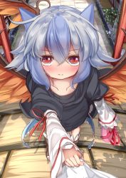 Rule 34 | 1girl, alternate costume, arm warmers, bad id, bad twitter id, black sweater, blue hair, blush, boots, closed mouth, collarbone, commentary request, gift, grey hair, head wings, highres, holding, holding gift, looking at viewer, multicolored eyes, namatyaba, outdoors, pavement, plant, pov, red eyes, shirt tug, short hair, solo focus, standing, sweater, tokiko (touhou), touhou, valentine, wings