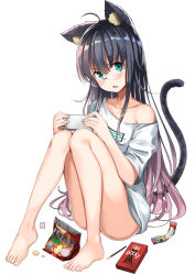 Rule 34 | &gt;:o, 1girl, :o, animal ears, aqua eyes, bag of chips, black hair, blush, cat ears, cat tail, cellphone, collarbone, convenient leg, fang, food, full body, glasses, hair between eyes, hiroki (hirokiart), holding, holding phone, knees up, looking at viewer, mole, mole under mouth, off-shoulder shirt, off shoulder, open mouth, original, phone, pocky, shirt, short sleeves, simple background, sitting, smartphone, solo, tail, thighs, umaibou, v-shaped eyebrows, white background, white shirt