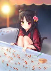 Rule 34 | 1girl, absurdres, amashiro natsuki, animal ears, bad id, bad pixiv id, bell, black hair, blush, broken, cat ears, cat tail, closed mouth, commentary request, festival, fish, floral print, flower, goldfish, goldfish scooping, hair bell, hair flower, hair ornament, hairclip, heterochromia, highres, japanese clothes, kimono, knees up, long hair, original, outdoors, poi (goldfish scoop), red eyes, sitting, solo, staring, tail, wavy mouth, yellow eyes