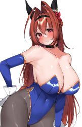 Rule 34 | 1girl, absurdres, animal ears, black choker, black pantyhose, blue leotard, blush, breasts, brown hair, choker, cleavage, closed mouth, collarbone, commentary request, commission, covered navel, daiwa scarlet (umamusume), detached sleeves, elbow gloves, fangs, gloves, hair between eyes, hair intakes, hair ribbon, hairband, hand on own hip, highres, horse ears, horse girl, kshimu, large breasts, leotard, looking at viewer, pantyhose, playboy bunny, red eyes, ribbon, simple background, skeb commission, solo, umamusume, upper body, white background, white gloves