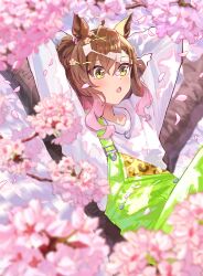 Rule 34 | 1girl, absurdres, ahoge, animal ears, arms behind head, blurry, blurry foreground, blush, brown hair, cherry blossoms, gradient hair, hair between eyes, hair ornament, hairclip, highres, horse ears, in tree, jewelry, jungle pocket (umamusume), long sleeves, medium hair, multicolored hair, nayuta ggg, necklace, notched ear, open mouth, overalls, petal on nose, petals, ring, ring necklace, shirt, sitting, sitting in tree, solo, tree, umamusume, upper body, white shirt, yellow eyes