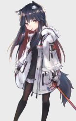 Rule 34 | 1girl, animal ears, arknights, black gloves, black hair, black pantyhose, black shirt, colored inner hair, feet out of frame, food, food in mouth, fur-trimmed hood, fur-trimmed sleeves, fur trim, gloves, grey background, highres, hood, id card, jacket, kokao358, long sleeves, looking at viewer, mouth hold, multicolored hair, official alternate costume, open clothes, open jacket, pantyhose, pocky, red gloves, red hair, shirt, shorts, simple background, solo, standing, tail, texas (arknights), texas (winter messenger) (arknights), two-tone gloves, white shorts, wolf ears, wolf girl, wolf tail, yellow eyes