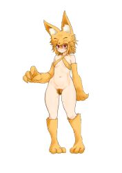 1girl absurdres anianianimamama animal_ear_fluff animal_ears animal_feet animal_hands blonde_hair blonde_pubic_hair blush bottomless bra breasts commentary_request commission covered_erect_nipples criss-cross_halter excessive_pubic_hair female_pubic_hair fox_ears fox_girl fox_hat full_body halterneck highres looking_at_viewer moonlight_flower pubic_hair ragnarok_online red_eyes second-party_source shaded_face short_hair simple_background skeb_commission small_breasts solo standing underwear variant_set white_background yellow_bra