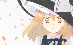 Rule 34 | 1girl, black hat, black ribbon, blonde hair, bow, braid, collared shirt, commentary, cyu ta, english commentary, hair between eyes, hair ribbon, hat, hat bow, hat ribbon, highres, kirisame marisa, long hair, long sleeves, looking at viewer, neck ribbon, petals, portrait, ribbon, shirt, side braid, simple background, solo, touhou, white background, white bow, white ribbon, white shirt, witch hat, yellow eyes