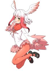 Rule 34 | 10s, 1girl, breasts, clearite, full body, gloves, head wings, japanese crested ibis (kemono friends), kemono friends, mary janes, monster girl, open mouth, pantyhose, pleated skirt, shoes, short hair, simple background, skirt, small breasts, solo, white background, white hair, wings, yellow eyes