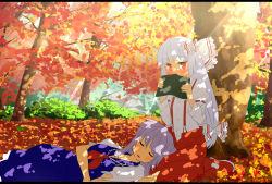 Rule 34 | 2girls, autumn, blue hair, blush, book, bow, covering own mouth, dappled sunlight, ema20, embarrassed, female focus, fujiwara no mokou, hair bow, highres, kamishirasawa keine, lap pillow, leaf, letterboxed, long hair, lying, multiple girls, nature, no headwear, on back, silver hair, sitting, sunlight, suspenders, touhou, tree, tree shade, very long hair