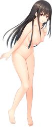 Rule 34 | 1girl, absurdres, black hair, breasts, brown eyes, feet, female focus, full body, game cg, groin, hair between eyes, hand on own chest, hand up, highres, knees together feet apart, large breasts, legs, long hair, looking at viewer, nekonyan, nipples, nude, open mouth, original, pussy, smile, solo, standing, swimsuit, thighs, toes, tonari ni kanojo no iru shiawase ~winter guest~, transparent background, uncensored, yukimura shiho