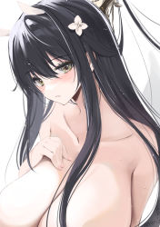 Rule 34 | 1girl, azur lane, bare shoulders, black hair, blush, breasts, cleavage, collarbone, flower, hair flower, hair ornament, hand on own chest, highres, huge breasts, indomitable (azur lane), indomitable (ms. motivationless maid) (azur lane), looking at viewer, nude, solo, topless, upper body, won (az hybrid)