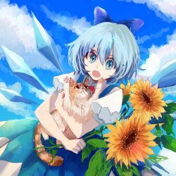 Rule 34 | 1girl, absurdres, animal, blue background, blue bow, blue dress, blue eyes, blue hair, blue sky, bow, calico, cat, cirno, cowboy shot, detached wings, dress, field, flower, flower field, hair between eyes, hair bow, highres, holding, holding animal, holding cat, leaf, looking at viewer, open mouth, outdoors, pinafore dress, puffy short sleeves, puffy sleeves, shirt, shocho (shaojiujiu), short sleeves, sky, sleeveless, sleeveless dress, solo, sunflower, sunflower field, touhou, white shirt, wings, yellow flower
