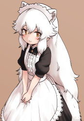 Rule 34 | 1girl, alternate costume, animal ears, apron, arctic fox (kemono friends), black dress, blush, collar, dress, enmaided, extra ears, fox ears, fox girl, fox tail, frilled apron, frilled collar, frills, high collar, highres, kemono friends, long hair, looking at viewer, looking up, maid, maid apron, maid headdress, orange eyes, own hands together, puffy short sleeves, puffy sleeves, rumenia (ao2is), short sleeves, sidelocks, solo, suspenders, tail, white apron, white hair