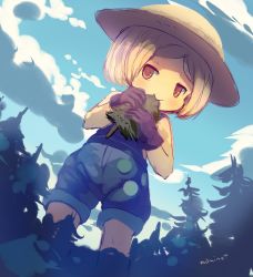 Rule 34 | 1girl, :&gt;, bare arms, blonde hair, blue sky, brown gloves, chibi, cloud, commentary request, cowboy shot, day, dutch angle, eating, fate/grand order, fate (series), forest, giant, giantess, gloves, hat, jitome, looking at viewer, manino (mofuritaionaka), nature, outdoors, overalls, parted bangs, paul bunyan (fate), pine tree, red eyes, signature, sky, solo, standing, straw hat, tree
