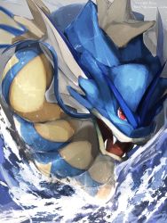 Rule 34 | creatures (company), fang, fangs, fangs out, game freak, gen 1 pokemon, grey background, gyarados, highres, looking at viewer, nintendo, no humans, open mouth, partially submerged, pemuchi (chikuwa 3296), pokemon, pokemon (creature), red eyes, solo, twitter username, water, waves, whiskers
