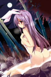 Rule 34 | 1girl, animal ears, ass, bamboo, bamboo forest, blush, breasts, rabbit ears, completely nude, dutch angle, eyelashes, forest, full moon, highres, large breasts, long hair, looking at viewer, looking back, maturiuta sorato, moon, nature, nude, onsen, partially submerged, purple hair, red eyes, reisen udongein inaba, solo, steam, touhou, towel, water, wet