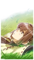 Rule 34 | 1girl, blurry, brown eyes, brown hair, bug, depth of field, field, grass, hyuuga (kancolle), bug, ise (kancolle), japanese clothes, kantai collection, ladybug, lying, neko no ongaeshi, nonco, parody, short hair, solo
