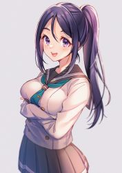 Rule 34 | 1girl, :d, blush, breasts, commentary request, crossed arms, green neckwear, hair between eyes, high ponytail, highres, large breasts, long hair, looking at viewer, love live!, love live! sunshine!!, matsuura kanan, moyui (myi 005), open mouth, pleated skirt, ponytail, purple eyes, purple hair, sailor collar, school uniform, serafuku, sidelocks, skirt, smile, solo, uranohoshi school uniform