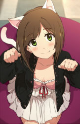 Rule 34 | 10s, 1girl, animal ears, breasts, brown hair, cat ears, cat tail, cleavage, collarbone, downblouse, dress, fang, green eyes, idolmaster, idolmaster cinderella girls, jacket, kemonomimi mode, long sleeves, maekawa miku, ogipote, open clothes, open jacket, paw pose, small breasts, smile, solo, tail, white dress