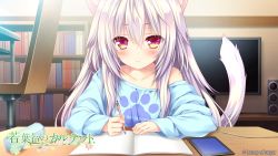Rule 34 | 1girl, ai (wakaba iro no quartet), animal ear fluff, animal ears, artist request, book, bookshelf, cat ears, cat girl, cat tail, chair, clothes writing, copyright name, desk, english text, expressionless, highres, long hair, lump of sugar, off shoulder, pencil, pencil case, red eyes, silver hair, sleeves past wrists, speaker, sweater, tablet pc, tail, television, wakaba iro no quartet