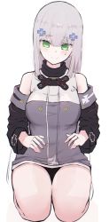 Rule 34 | 1girl, bare shoulders, breasts, facial mark, girls&#039; frontline, green eyes, grey hair, hair ornament, hiepita97, highres, hk416 (girls&#039; frontline), hk416 (mod3) (girls&#039; frontline), long hair, mod3 (girls&#039; frontline), purple eyes, seiza, simple background, sitting, smile, solo, white background