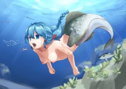 Rule 34 | 1boy, 1girl, blue eyes, blue hair, braid, breasts, fish, giant, giantess, gills, hair ribbon, highres, mermaid, monster girl, nipples, nude, open mouth, ribbon, small breasts, solo focus, underwater