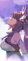 Rule 34 | 1girl, animal ear fluff, animal ears, blunt bangs, braid, cloud, cloudy sky, collar, elbow gloves, flower, frilled collar, frills, from side, gloves, guild cq, hair flower, hair ornament, highres, light particles, looking up, medium bangs, purple eyes, purple flower, purple hair, quon tama, sky, solo, twin braids, twintails, virtual youtuber, white gloves, yumesaki nana
