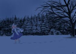 103anon 1girl apron bare_tree footprints forest from_side full_body hat highres letty_whiterock long_sleeves nature night outdoors pine_tree scarf snow solo touhou tree walking white_apron white_scarf winter