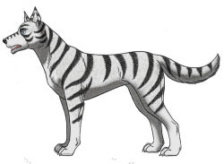 Rule 34 | animal hands, claws, dog, fangs, ginga nagareboshi gin, tail, white tiger (ginga nagareboshi gin), wolf