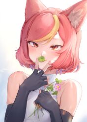 Rule 34 | 1girl, absurdres, animal ear fluff, animal ears, bare shoulders, black gloves, blonde hair, blue hair, cat ears, cat girl, clover, elbow gloves, fingerless gloves, flower, four-leaf clover, gloves, high collar, highres, lingxia, mouth hold, multicolored hair, orange eyes, original, pink flower, pink hair, shirt, short hair, sleeveless, sleeveless shirt, streaked hair, thick eyebrows, tight clothes, tight shirt, white shirt