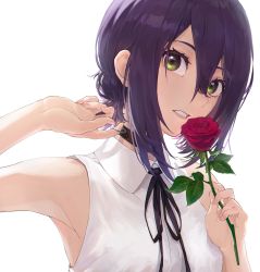 Rule 34 | 1girl, arm up, armpits, bad id, bad pixiv id, black ribbon, brown choker, chainsaw man, choker, collared shirt, commentary request, flower, green eyes, hair between eyes, highres, holding, holding flower, lead, looking at viewer, neck ribbon, parted lips, purple hair, red flower, red rose, ribbon, rose, shirt, short hair, sidelocks, simple background, sleeveless, sleeveless shirt, solo, suketoudara (artist), teeth, upper body, white background, wing collar