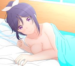 Rule 34 | 10s, 1girl, bed, bed sheet, blush, bow, breasts, closed mouth, hair bow, highres, indoors, long hair, looking at viewer, love live!, love live! sunshine!!, lying, matsuura kanan, medium breasts, miya anko, nude, on side, pillow, ponytail, purple eyes, purple hair, smile, solo, under covers, white bow, window