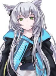 Rule 34 | 1girl, :&lt;, absurdres, animal ear fluff, animal ears, arknights, black gloves, cat ears, cat girl, clothes writing, fingerless gloves, gloves, green eyes, grey hair, highres, holding, infection monitor (arknights), jacket, kiwicci, long hair, looking at viewer, rosmontis (arknights), solo, white background, white hair