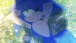 Rule 34 | 1boy, arm behind head, bad id, bad twitter id, blue fur, day, field, flower, flower field, gloves, grass, green eyes, half-closed eye, looking at viewer, lying, male focus, nisibo25, one eye closed, pointy nose, smirk, solo, sonic (series), sonic frontiers, sonic the hedgehog, spiked hair