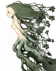 Rule 34 | 1girl, bad id, bad pixiv id, breasts, dryad, flower, green flower, green rose, kasa (hitori sanka), monster girl, nude, plant, plant girl, profile, rose, simple background, small breasts, solo, tentacles, vines, white background