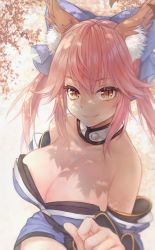 Rule 34 | 10s, 1girl, animal ears, bare shoulders, breasts, cleavage, collarbone, detached sleeves, fate/extra, fate (series), fox ears, hair ribbon, japanese clothes, large breasts, looking at viewer, pink hair, ribbon, signature, solo, tadashi-kun, tamamo no mae (fate/extra), yellow eyes