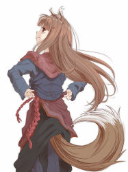 1girl animal_ears apron black_skirt blue_pants blue_shirt brown_hair closed_mouth from_behind highres holo long_hair long_sleeves marutaya pants pants_under_skirt profile red_apron red_eyes shirt simple_background skirt solo spice_and_wolf standing tail tentacles tentacles_under_clothes tying_apron white_background wolf_ears wolf_girl wolf_tail