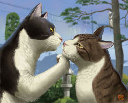 Rule 34 | animal, animal focus, blue sky, cat, day, grabbing another&#039;s chin, hand on another&#039;s chin, matataku, no humans, original, power lines, realistic, sky, surprised cat (matataku), tree