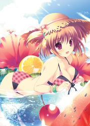 Rule 34 | 1girl, bikini, blonde hair, bracelet, breasts, cherry, cleavage, fang, flower, food, front-tie top, fruit, hat, heart, hibiscus, ice, ice cube, in food, jewelry, large breasts, lemon, light rays, mikeou, mini person, minigirl, oversized object, plaid, plaid bikini, pool, solo, straw hat, submerged, sunbeam, sunlight, swimsuit, water, watermelon