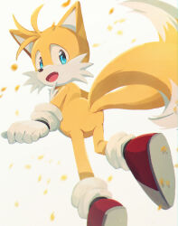 Rule 34 | 1boy, animal ears, animal nose, banri 0917, blue eyes, body fur, commentary request, fang, fox boy, fox ears, fox tail, full body, furry, furry male, gloves, highres, korean commentary, looking at viewer, looking back, male focus, multiple tails, one eye closed, open mouth, red footwear, shoes, simple background, solo, sonic (series), tail, tails (sonic), two tails, white background, white gloves, yellow fur