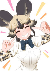 Rule 34 | 1girl, african wild dog (kemono friends), african wild dog print, animal ears, bagua zhang, black hair, blush, bow, bowtie, breasts, dog ears, grin, kemono friends, large breasts, long sleeves, looking at viewer, multicolored hair, open mouth, shirt, short hair, short sleeves, simple background, smile, solo, white background