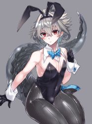 Rule 34 | 1boy, animal ears, arm support, bare shoulders, bow, bowtie, commentary request, covered navel, detached collar, dragon tail, fake animal ears, fate/apocrypha, fate (series), gloves, grey background, grey hair, hair between eyes, hairband, haoro, highres, leotard, looking at viewer, pantyhose, playboy bunny, rabbit ears, red eyes, short hair, sieg (fate), simple background, sitting, solo, strapless, strapless leotard, tail, wrist cuffs