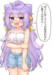 Rule 34 | 1boy, absurdres, blush, check translation, hacka doll, hacka doll 3, highres, long hair, looking at viewer, male focus, open mouth, purple eyes, purple hair, shorts, simple background, solo, sweatdrop, translation request, trap, very long hair, white background