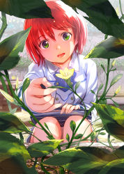 Rule 34 | 1girl, :d, absurdres, akagami no shirayukihime, book, bookmark, commentary request, flower, green eyes, highres, holding, holding book, leaf, mikazuki akira!, open mouth, plant, red hair, shirayuki (akagami no shirayukihime), short hair, smile, solo