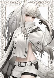 Rule 34 | 1girl, absurdres, animal ear fluff, animal ears, arknights, black gloves, commentary, cowboy shot, gloves, grey eyes, groin, hand up, highres, jacket, long hair, long sleeves, looking at viewer, midriff, platinum (arknights), short shorts, shorts, solo, standing, suiua, tail, white hair, white jacket, white shorts, wide sleeves