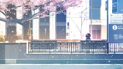 Rule 34 | bench, bow, brown hair, cherry blossoms, from behind, hat, hat bow, outdoors, real world location, road sign, sign, sitting, solo, tagme, tokoroten (hmmuk), touhou, tree, usami sumireko