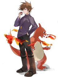 Rule 34 | 1boy, black pants, blue oak, boots, brown footwear, brown hair, charmeleon, chinese commentary, claws, closed mouth, commentary request, creatures (company), fire, flame-tipped tail, game freak, gen 1 pokemon, hand in pocket, hand up, highres, holding, holding poke ball, jewelry, long sleeves, male focus, necklace, nintendo, pants, poke ball, poke ball (basic), pokemon, pokemon (creature), pokemon adventures, purple shirt, sakanobo (sushi1021), shirt, short hair, spiked hair, standing, white background