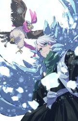 Rule 34 | 1boy, 1other, animal, bird, bleach, blue eyes, chain, character request, closed mouth, crossover, eagle, feather hair ornament, feathers, full body, green hair, green scarf, hair ornament, hitsugaya toushirou, ice, japanese clothes, jojo no kimyou na bouken, long sleeves, looking at another, looking at viewer, pet shop, pink scarf, scarf, short hair, soraao0322, stardust crusaders, white background, white hair