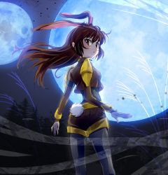 Rule 34 | 1girl, animal ears, brown eyes, brown hair, rabbit ears, rabbit tail, commentary request, forest, full moon, iesupa, looking back, moon, nature, rwby, tail, velvet scarlatina