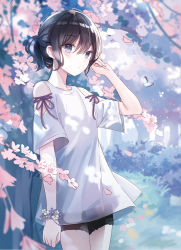 Rule 34 | 1girl, animal, bare shoulders, black hair, black shorts, blue eyes, blush, bug, butterfly, closed mouth, clothing cutout, collarbone, commentary request, day, flower, hair between eyes, hand up, highres, insect, iren lovel, official art, original, outdoors, petals, pink flower, ponytail, see-through, shirt, short shorts, short sleeves, shorts, shoulder cutout, solo, tree, white shirt