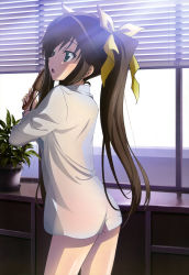 Rule 34 | 10s, 1girl, absurdres, bow, breasts, brown hair, brushing hair, brushing own hair, from behind, green eyes, hair bow, hair brush, hair ribbon, highres, huang lingyin, infinite stratos, long hair, naked shirt, nyantype, official art, open mouth, ribbon, see-through silhouette, shirt, small breasts, solo, standing, twintails, very long hair