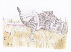 Rule 34 | absurdres, animal, artist request, bare shoulders, bestiality, blush, brown hair, character request, copyright request, doggystyle, grass, highres, humping, interspecies, leopard, lying, missionary, nature, non-web source, nude, on back, sex, sex from behind, source request, sweat, traditional media, vaginal
